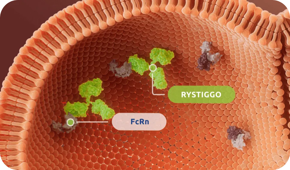 Mechanism of Action