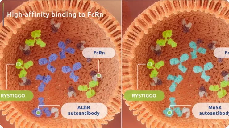RYSTIGGO® Mechanism of Action Video