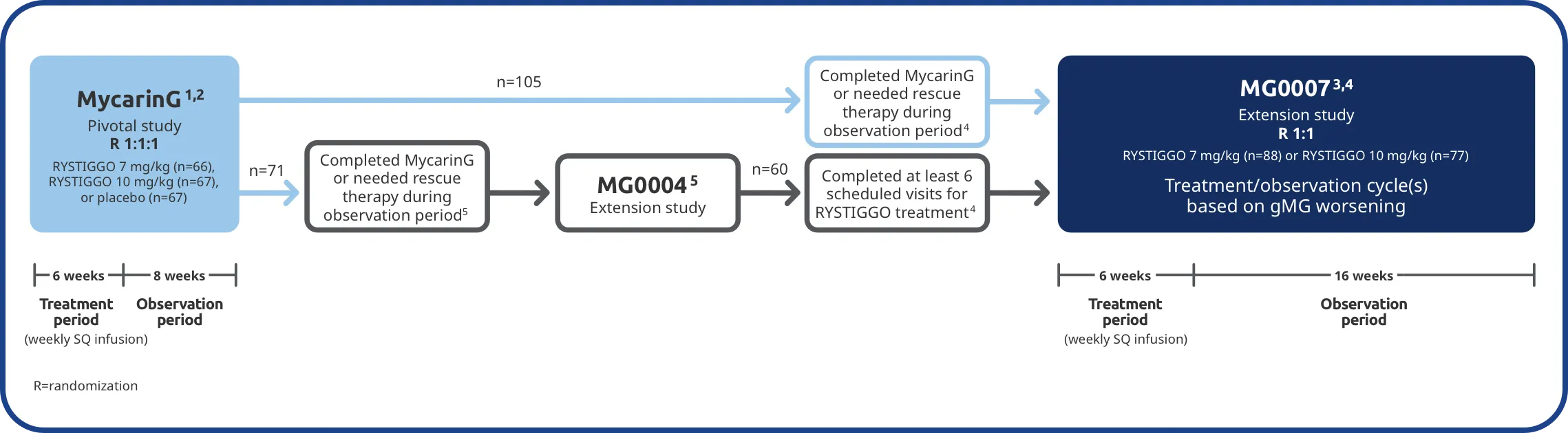 Graph describing two extension studies (MG0004 and MG0007) that were available to adult patients who participated in the MycarinG clinical trial to further evaluate the safety and efficacy of RYSTIGGO.