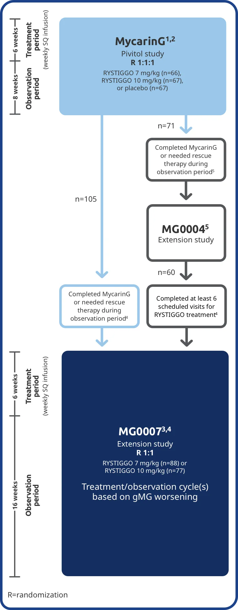 Graph describing two extension studies (MG0004 and MG0007) that were available to adult patients who participated in the MycarinG clinical trial to further evaluate the safety and efficacy of RYSTIGGO.