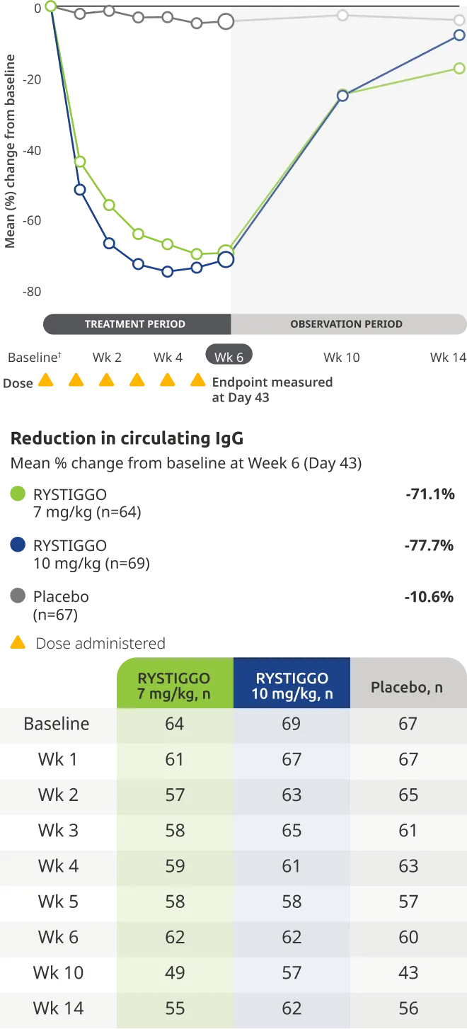 Reduction in immunoglobulin G (IgG) levels at Week 6.